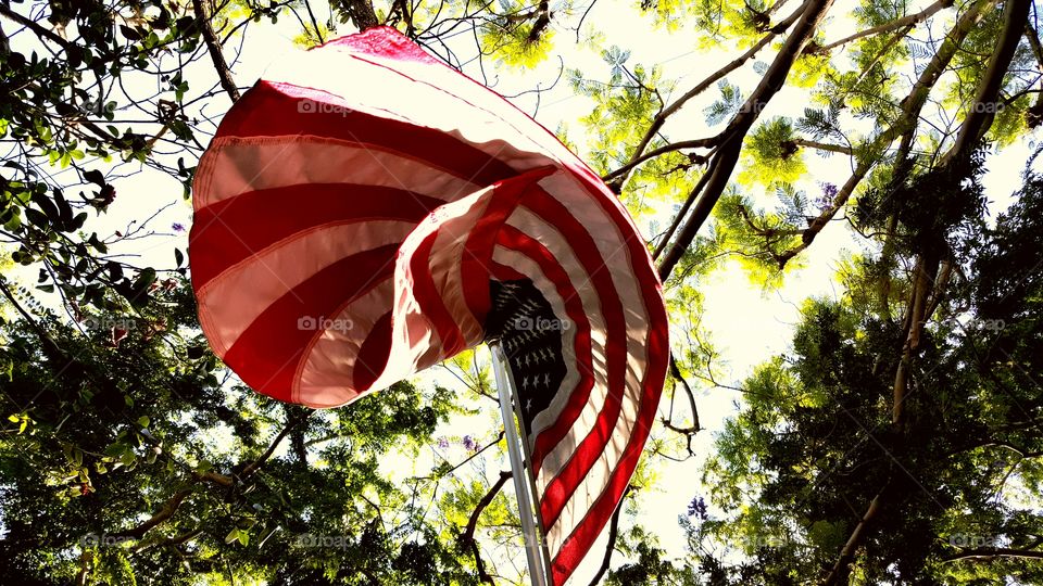 American Flag Surrounded by Nature