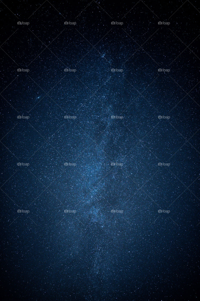 The Milky Way Galaxy