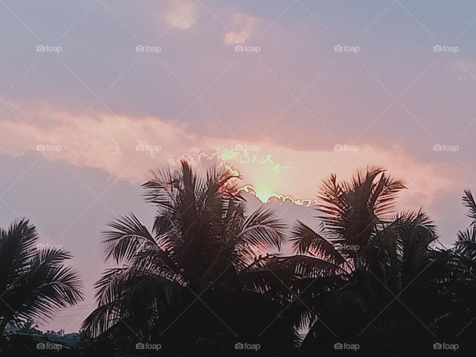 Ravarma VanguvO / Pice of mind / Enchanting evening / Beautiful Trees / Amazing Coloring