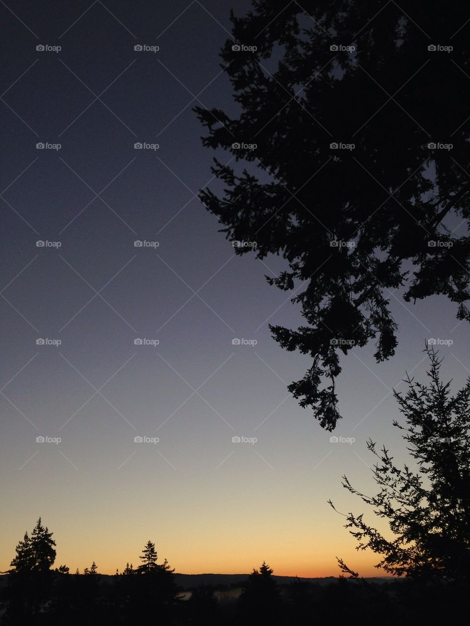 Sunrise in California