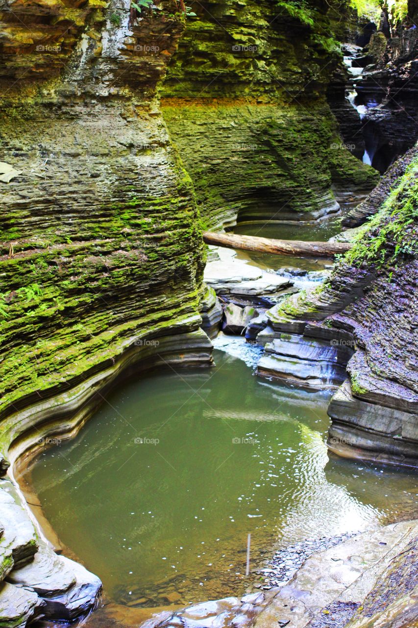 Watkins Glen