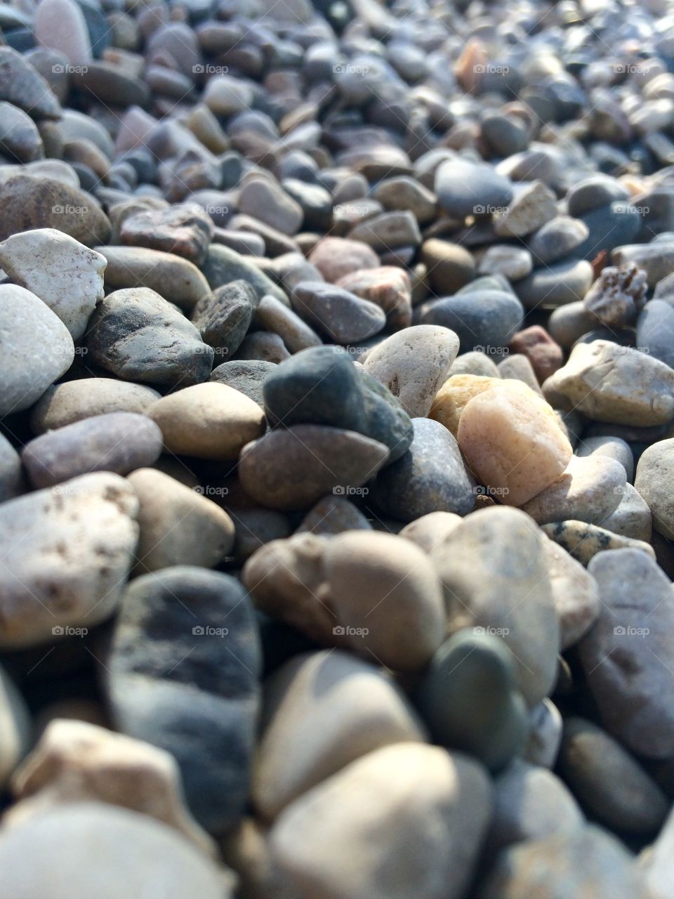 Pebbles in the shade