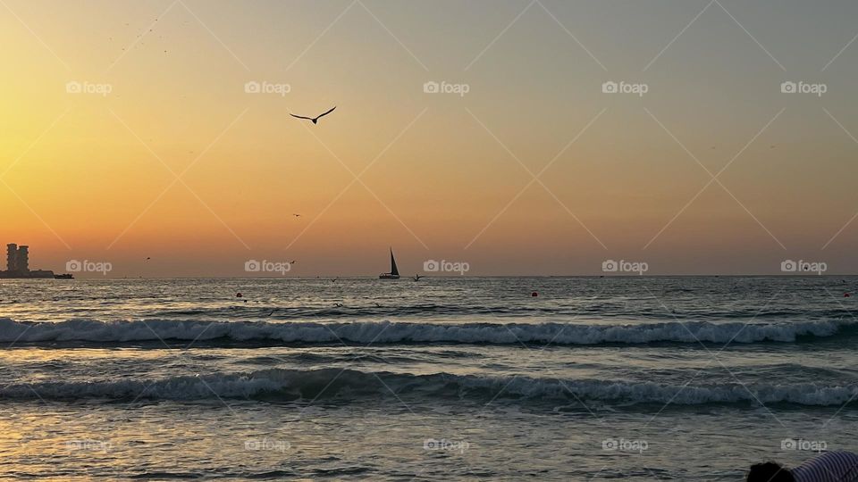 Sailing into the sunset, surrounded by the beauty of the ocean and the serenade of seagulls