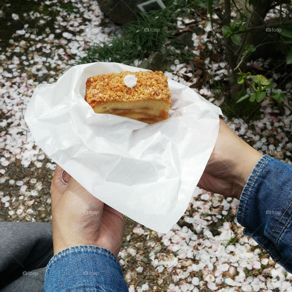 Person holding apple pie