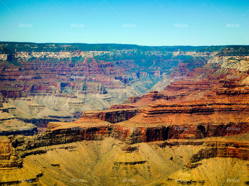Grand Canyon National Park #9