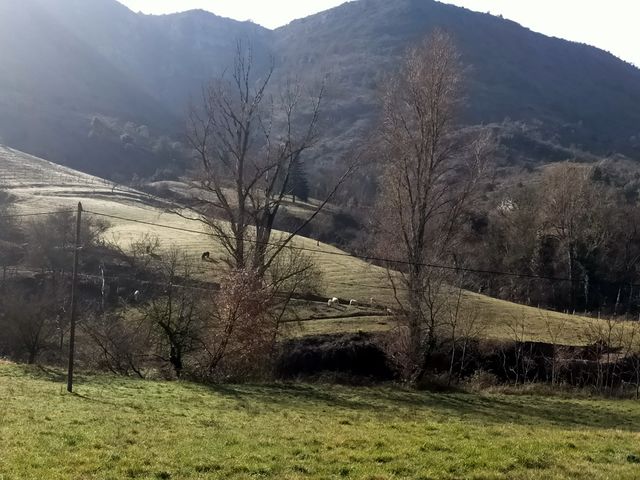 Dans le calme naturel