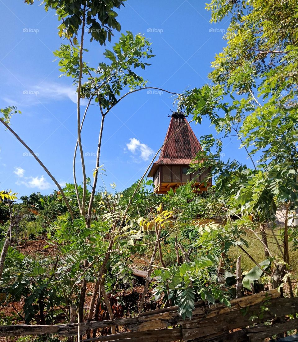 A traditional house in Lautem Timor Leste