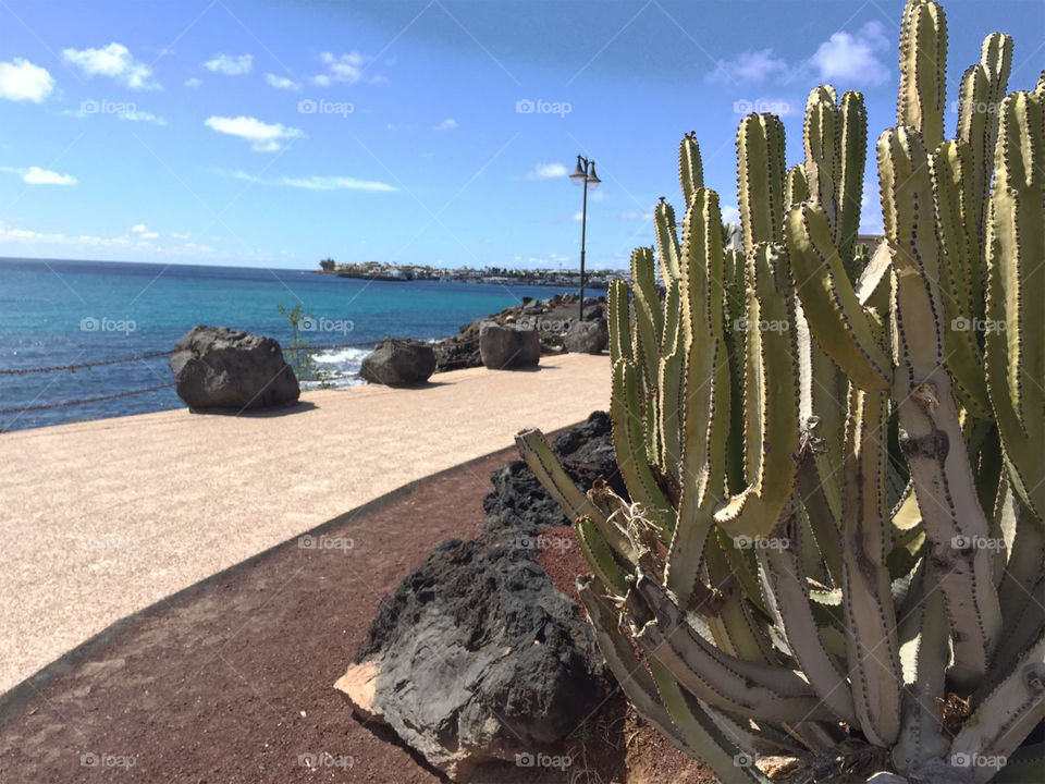 Lanzarote