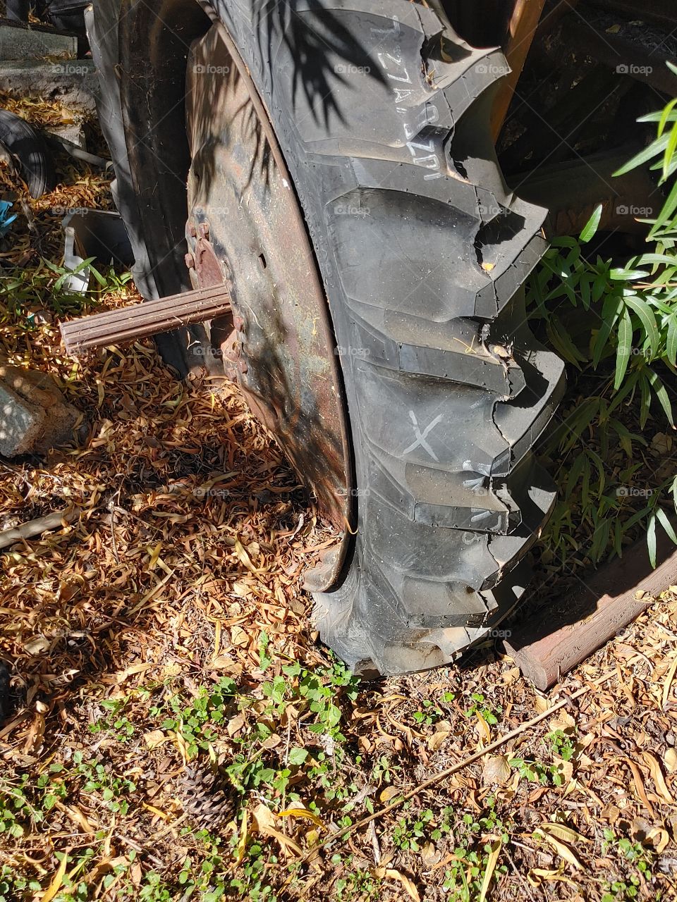 Tractor tire at my house
