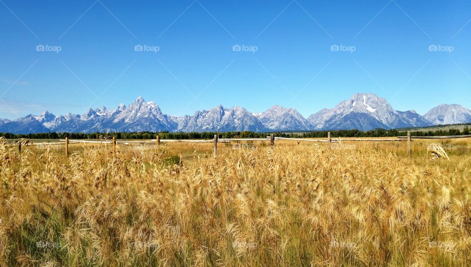 Grand Tetons 