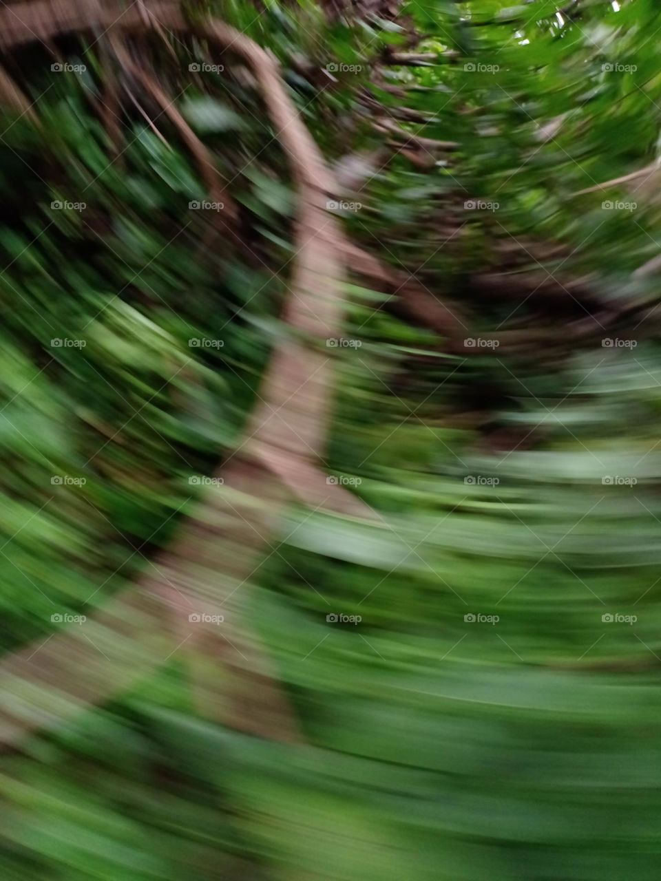 speed photography blur effects of the nature with green background half round image