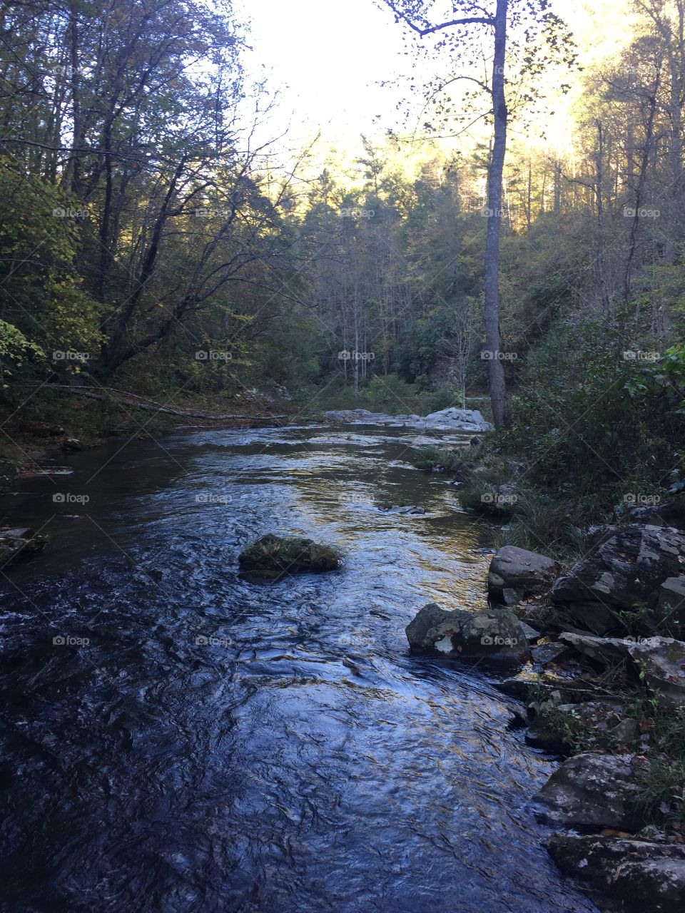 A River Runs Through It