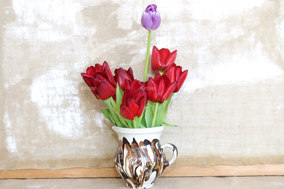 Red tulips 