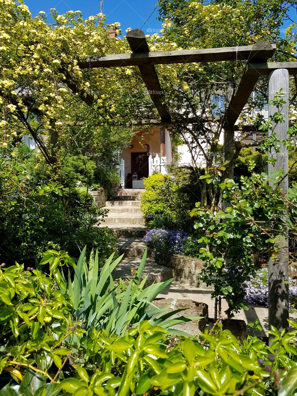 Springtime in the garden of a cottage in italian countryside