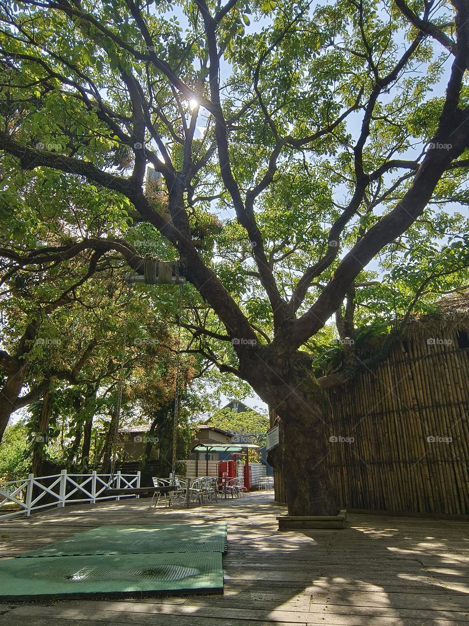 Chulu Ranch is full of greenery