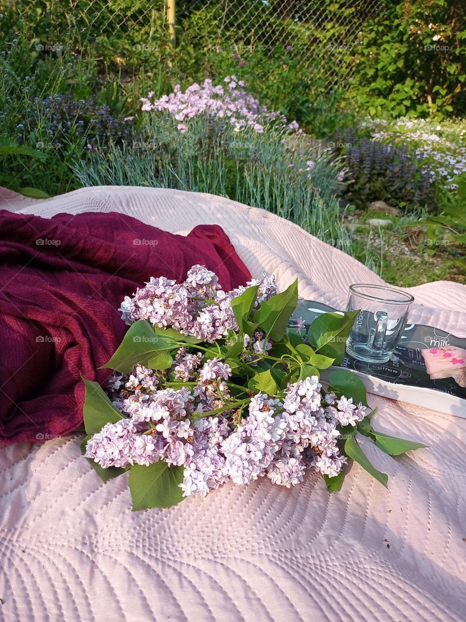 Urban Nature:picknick in the Park