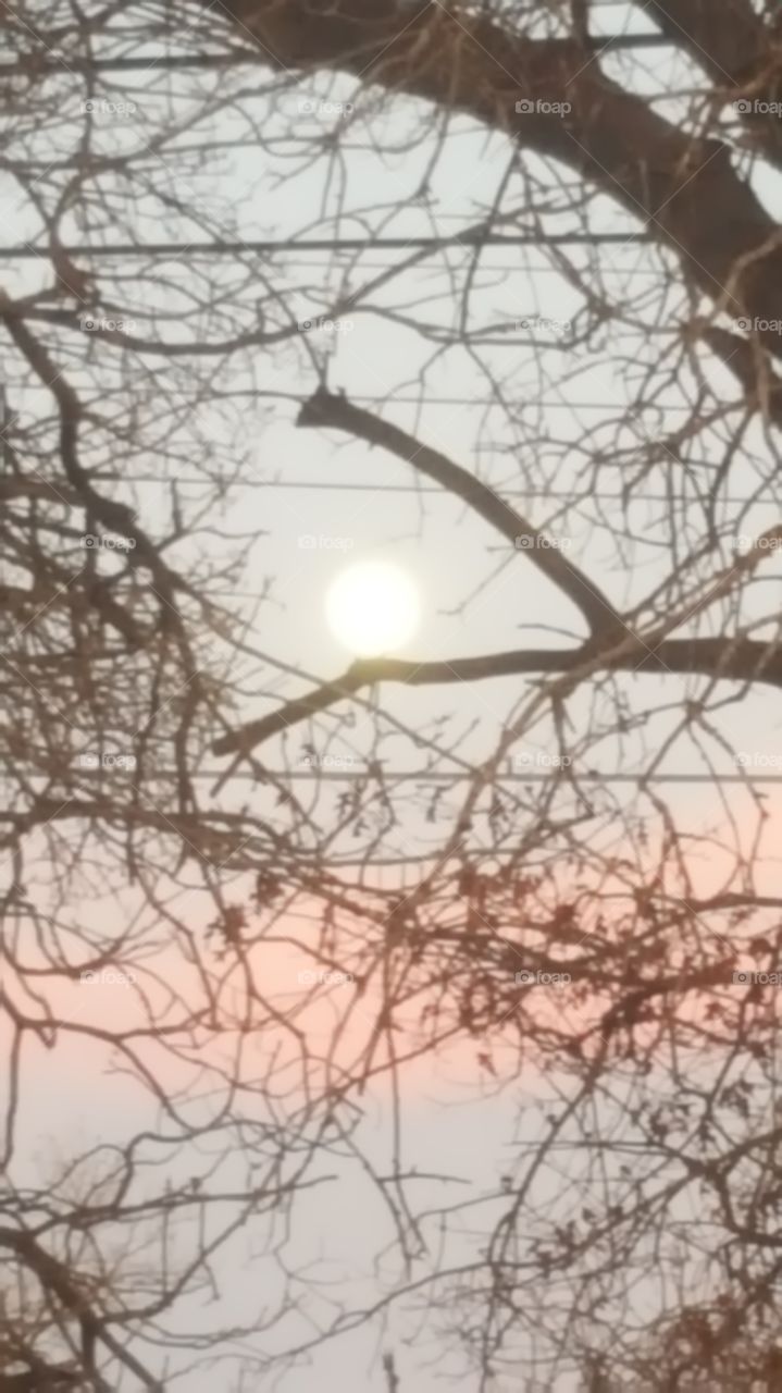 full moon at dusk