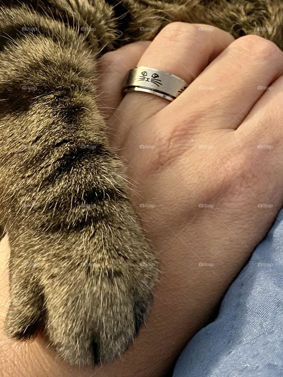 A cats paw resting on a hand wearing a spinner ring