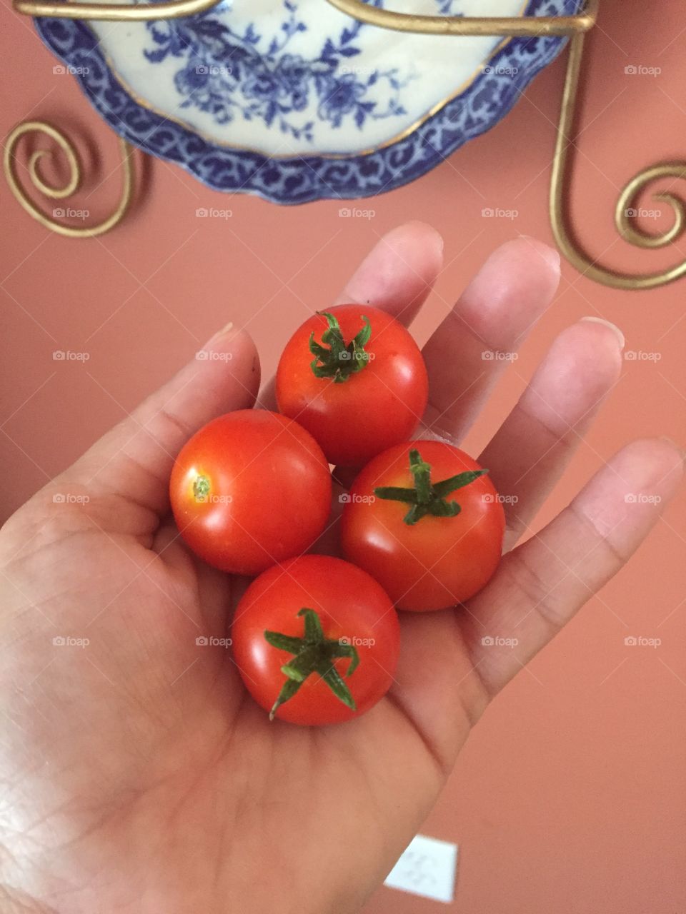 Bright Red Tomatoes 
