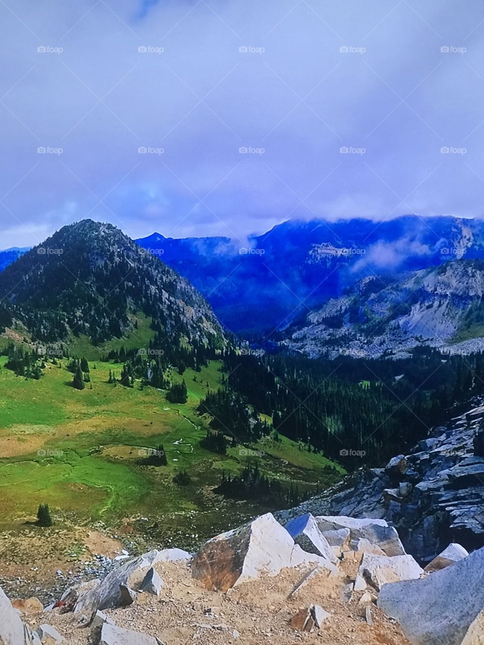 Beautiful queen hills