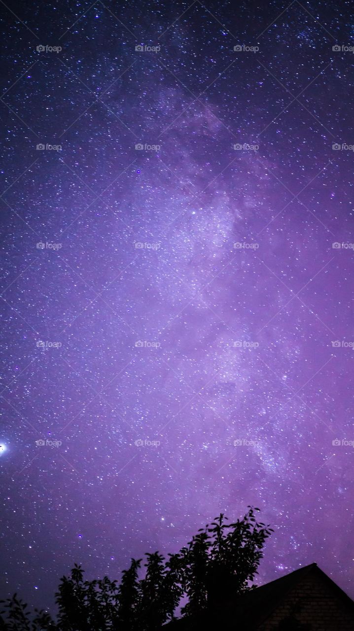 Silhouette of the roof of a house and a tree at night, against the background of the Milky Way and the beautiful starry night sky.