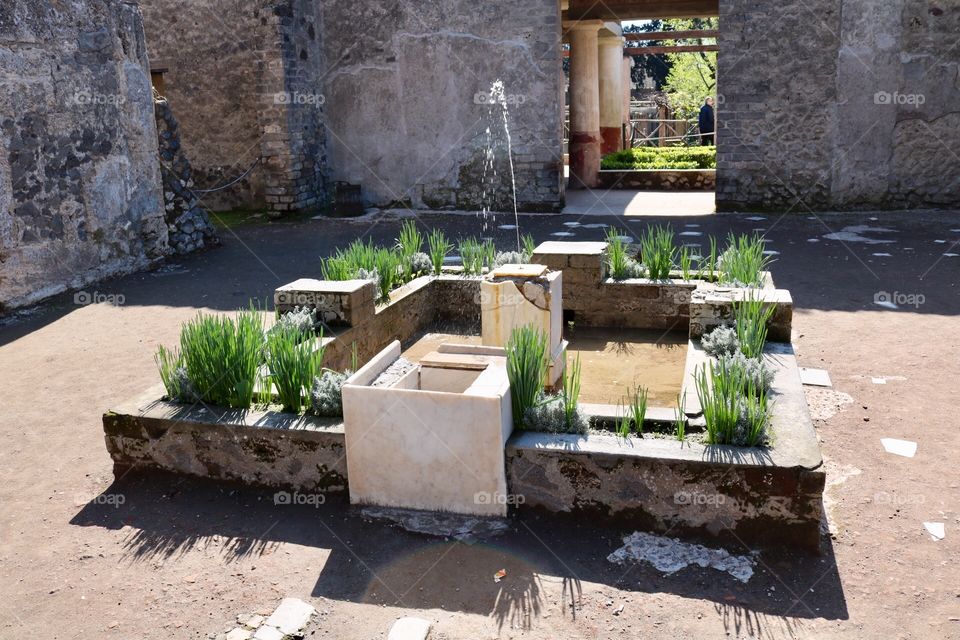 Garden. Pompeii, Italy