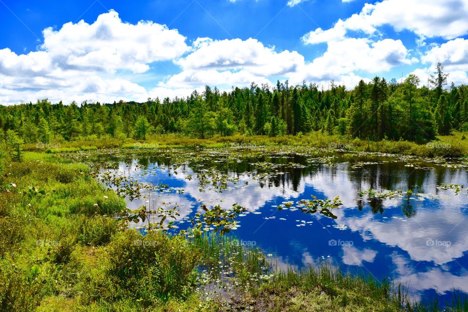 Clouds and trees reflecting on lake