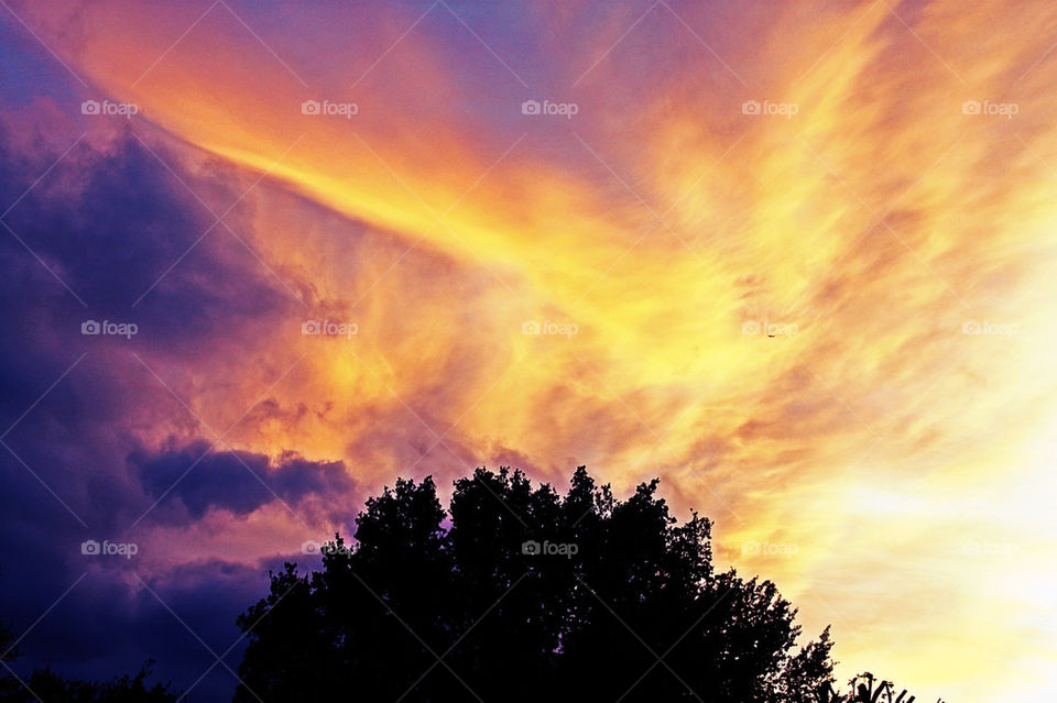 sky pretty photography tree by Charlielb