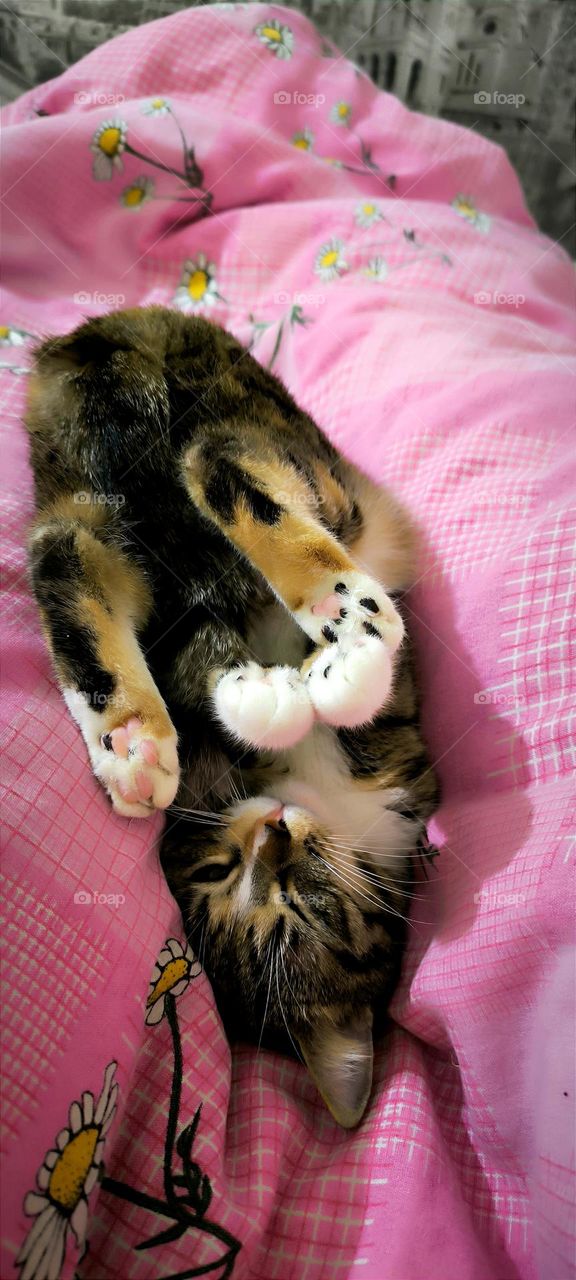 The most comfortable position for sleeping