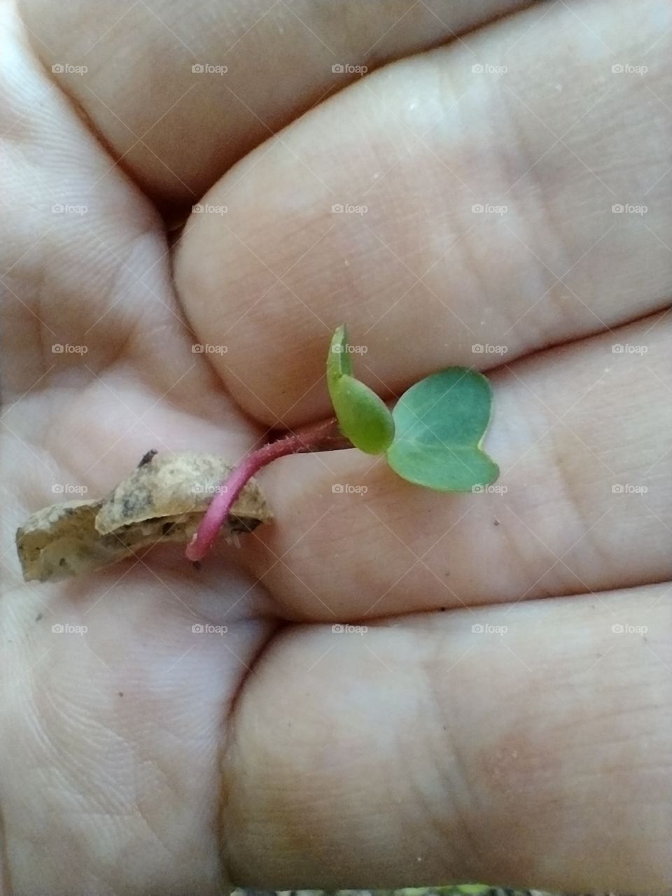 What makes you smile