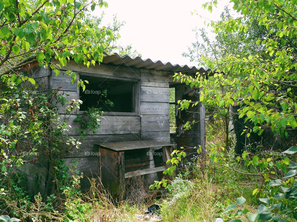 abandoned rural house