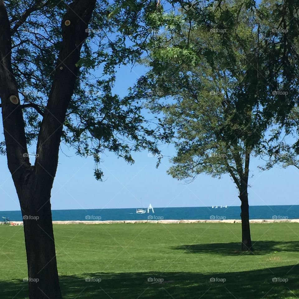 Chicago Summer. I took this photo during my run. 