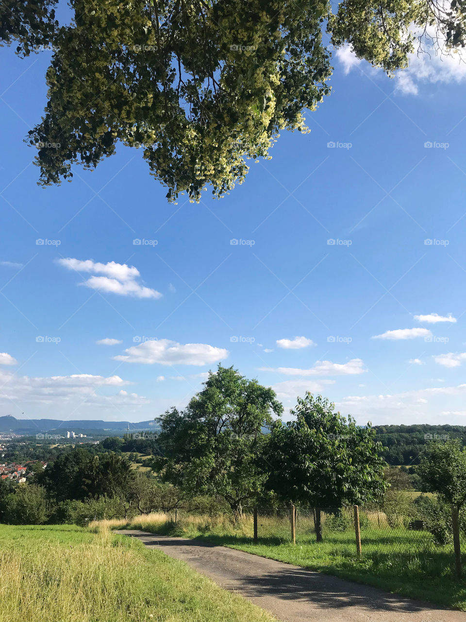Landschaft Hölderlin in Oberensingen/Stuttgart 