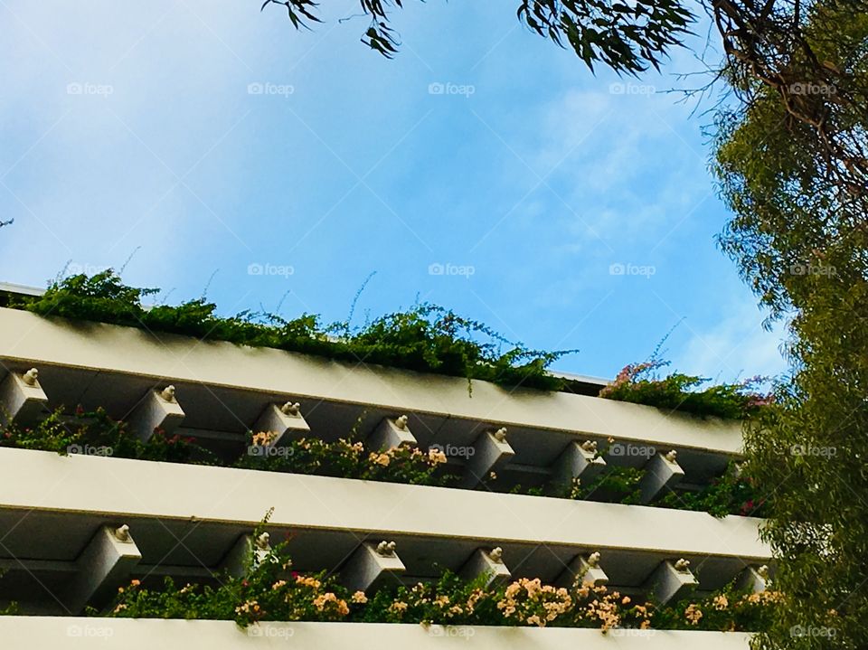 Unique View: many flowers from the city car park.