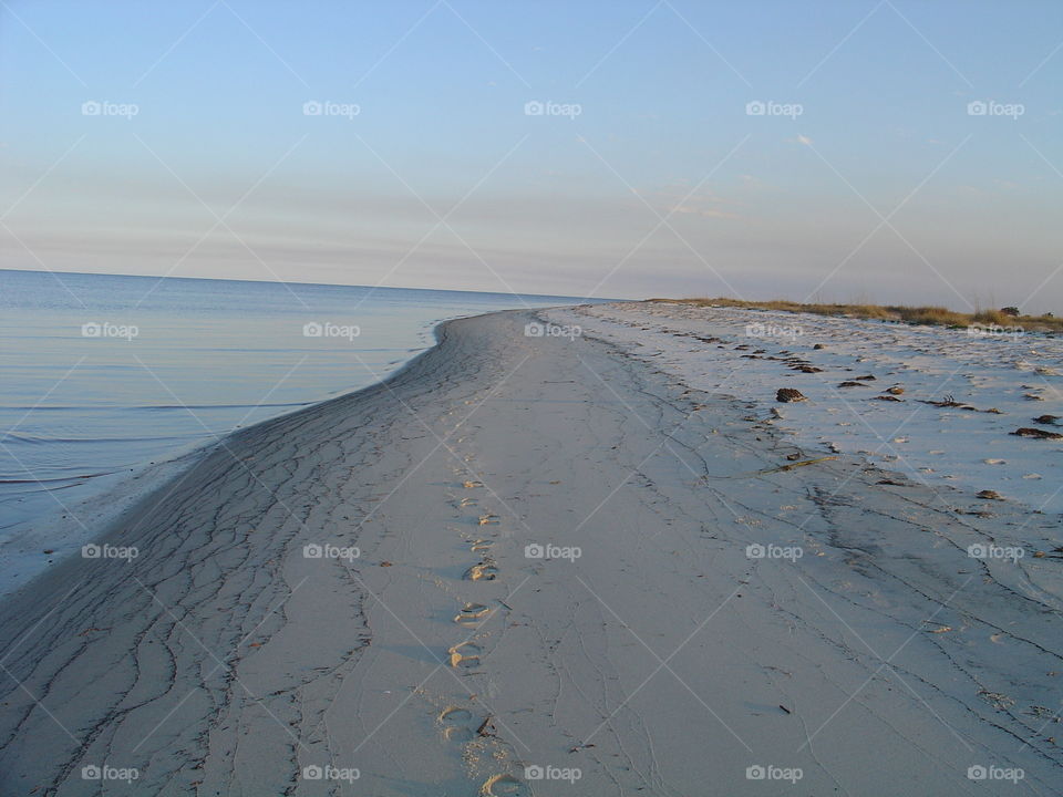 Shoreline at the gulf coast of Florida 
