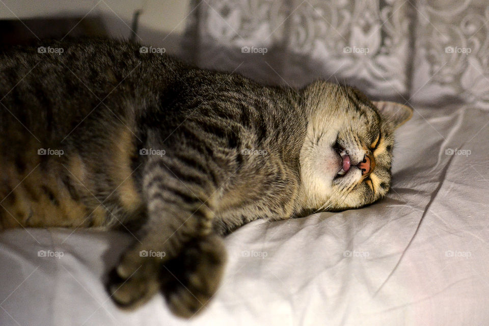 do you sleep with open mouth too?