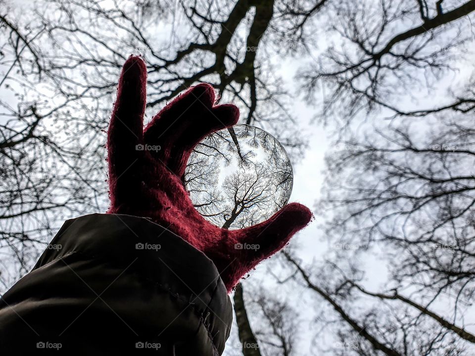 A portrait of a person holding a glass lens ball in a hand with a red globe during winter in a forest. the trees of the forest are reflected in the lens bal.