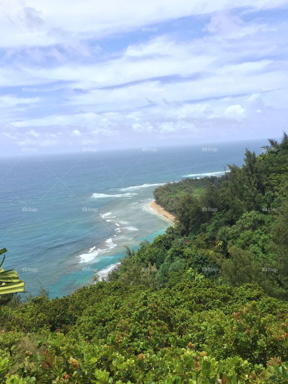Hawaiian coast line 