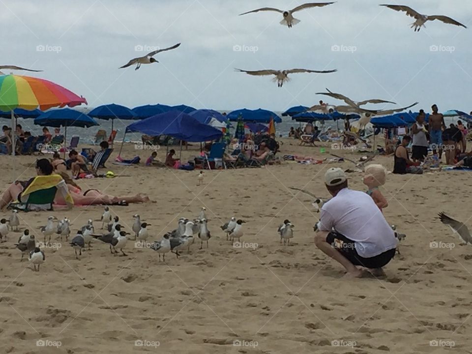 A flock of seagulls awaiting food on the beach. 