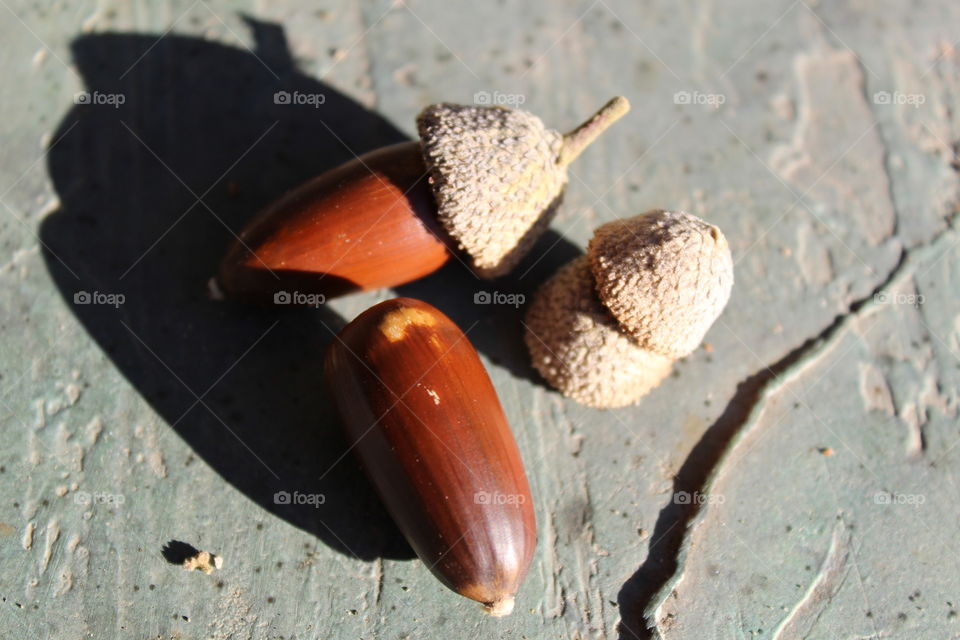 nuts, seeds
