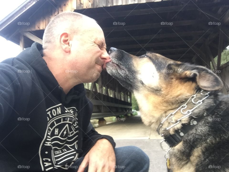 GSD puppy kisses