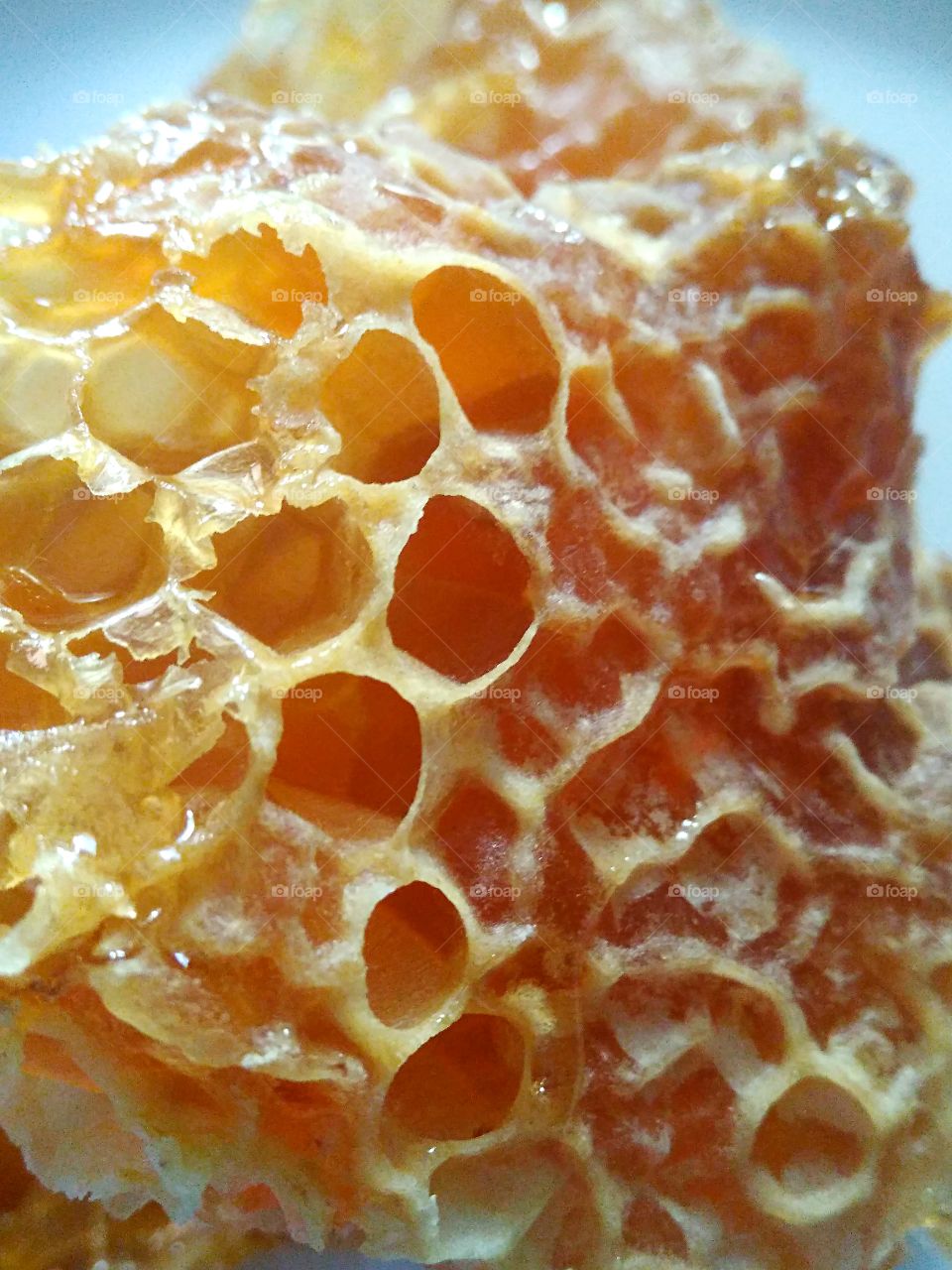 Close-up of beehive