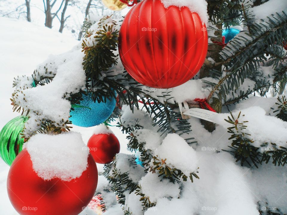 dressed Christmas tree toys in the park, Kiev