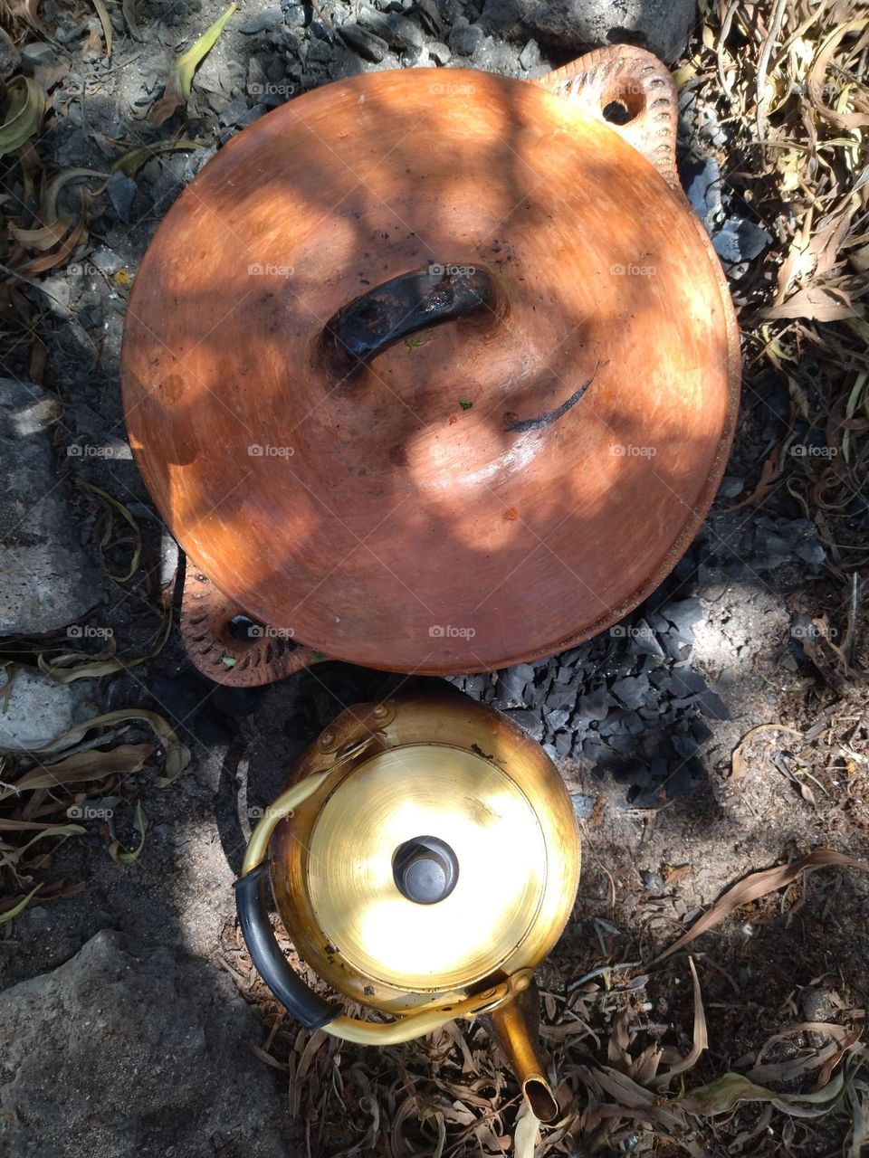 teapot and natural cooking