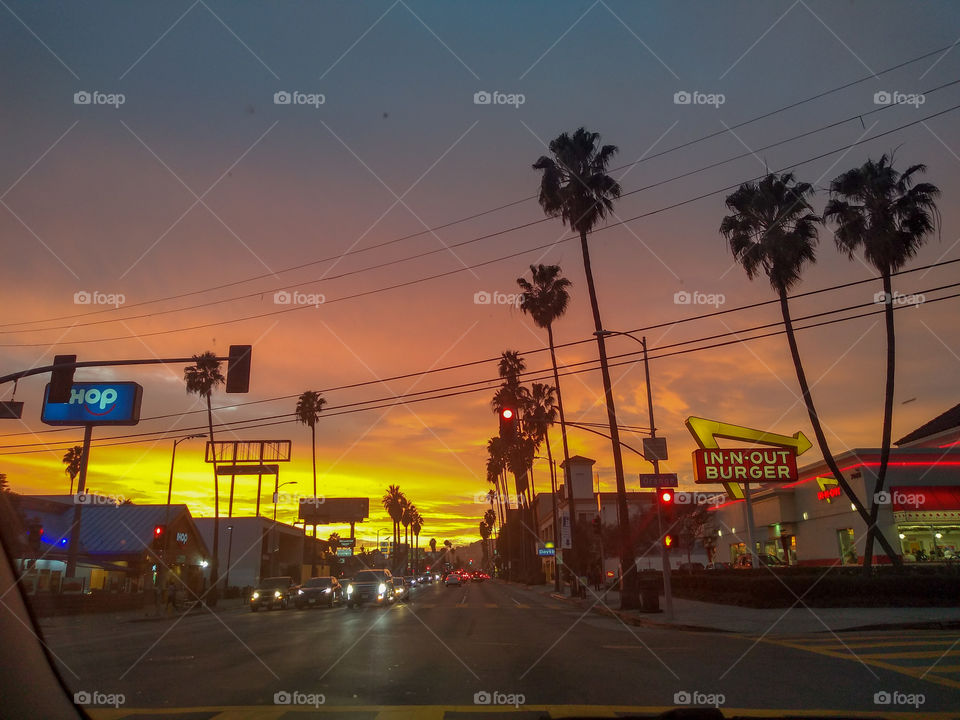 Hollywood Sunset Blvd at Sunset