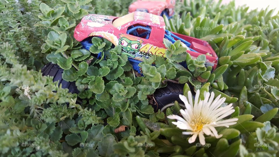 Toy truck in a planter with green growth and a flower