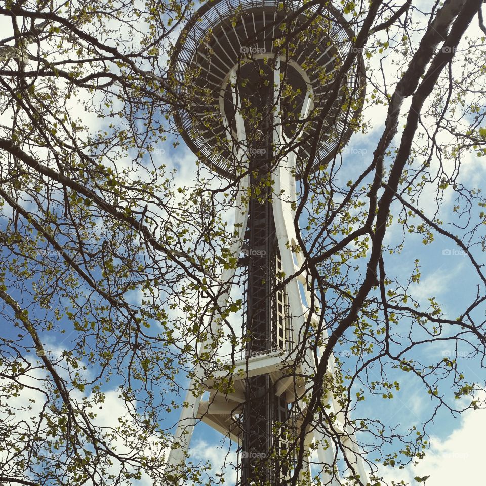 space needle. thos picture was taken on my spring break on seattle 