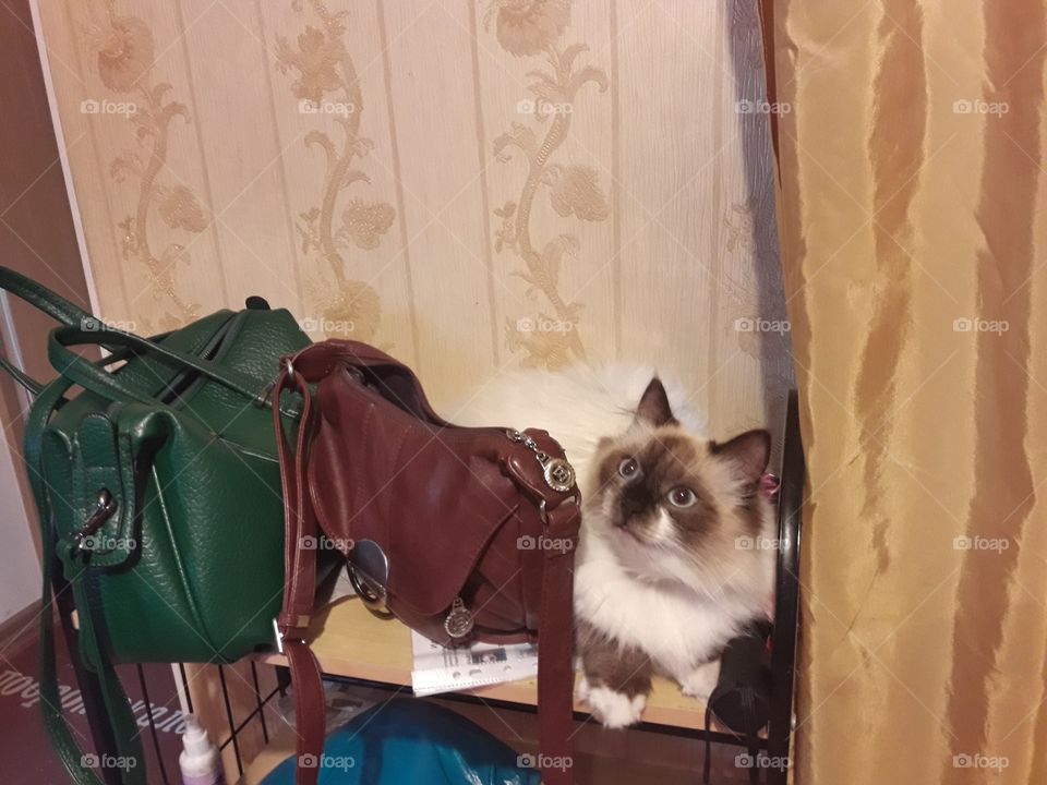 И меня с собой возьмите