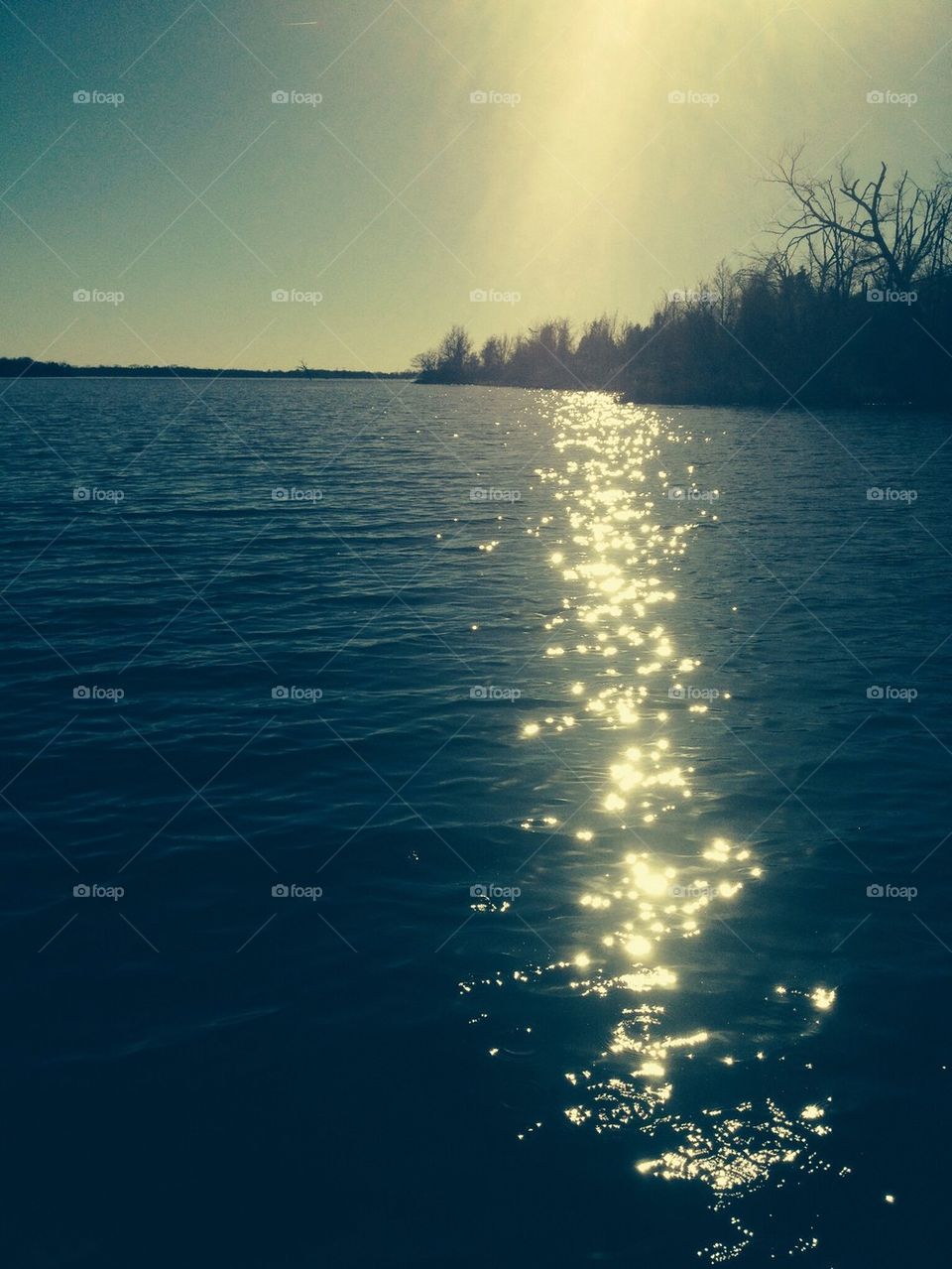 Sun on the lake