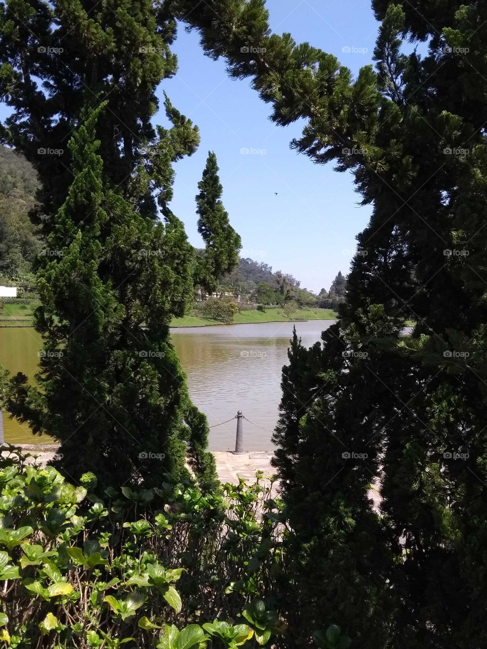 Um colírio para os olhos